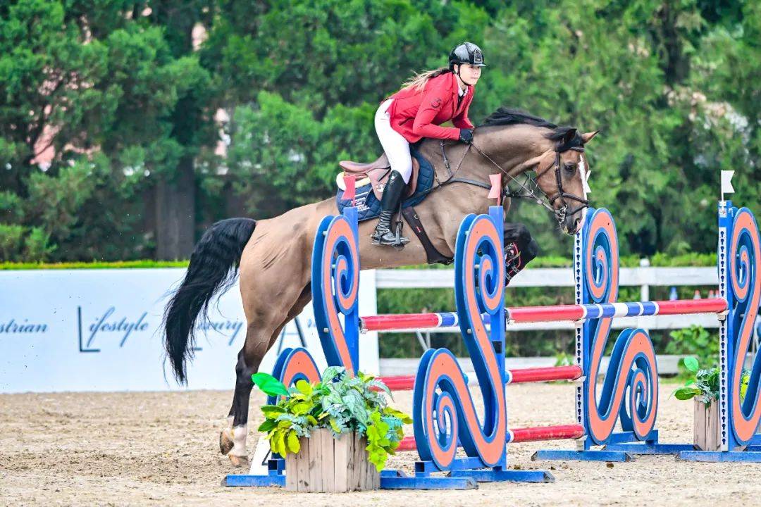 关于西班牙新星在马术项目中勇夺冠军的信息