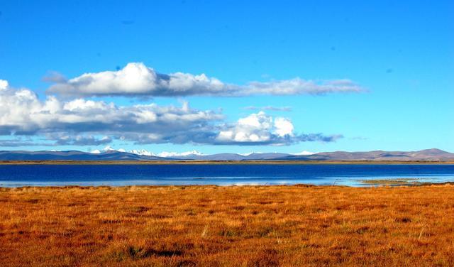 尼斯主场逼平雪山，保持不败的简单介绍