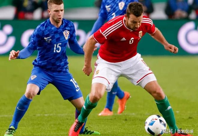 关于荷兰预计能在摩尔多瓦欧预赛中占优势的信息